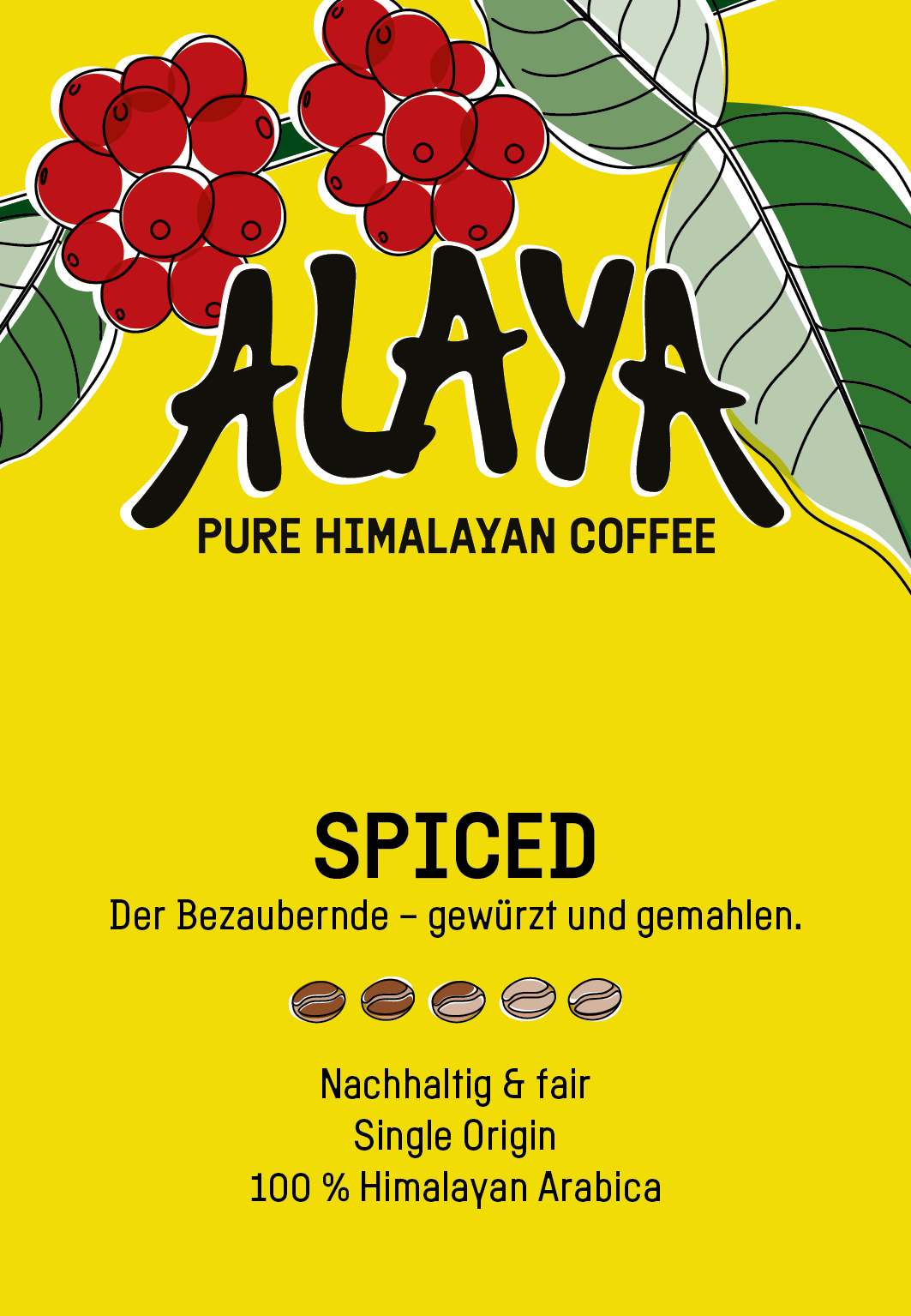 ALAYA Spiced. – Bild 2