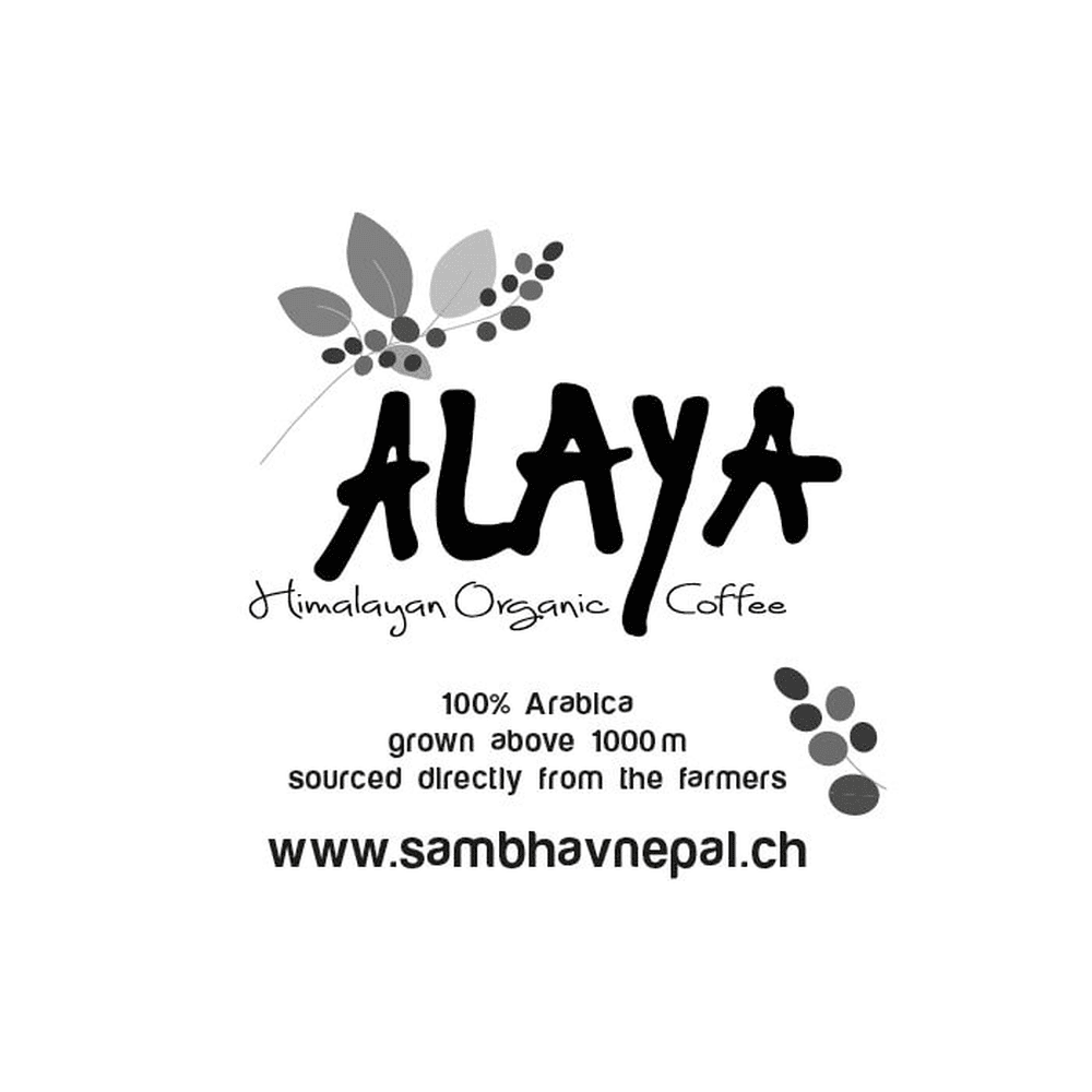 Degu-Set ALAYA Degu-Set ALAYA