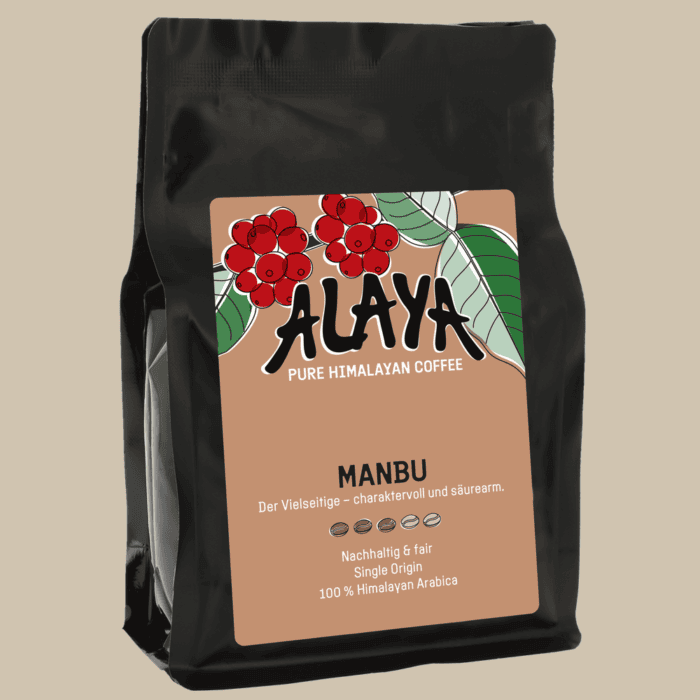 ALAYA Manbu.