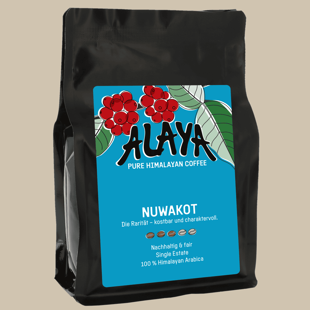 ALAYA Nuwakot. ALAYA Nuwakot.