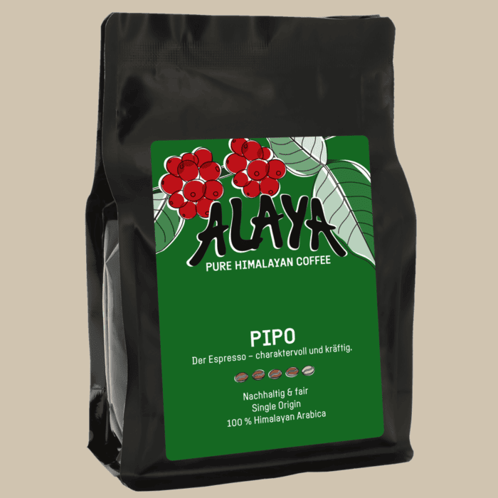 ALAYA Pipo.