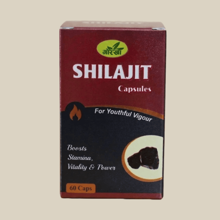 Shilajit Kapseln